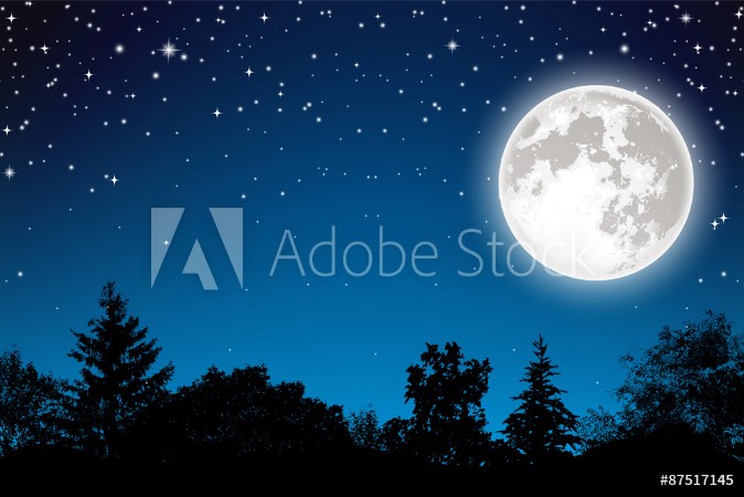 Afbeeldingen van Night and Trees